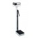 Detecto 439S Physician's Scale, Stainless Steel, Weigh Beam, 400 lb X 4 Oz, Height Rod (DROP SHIP ONLY)