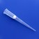 Globe Scientific 1-100 µL Filtered Pipette Tip, Sterile