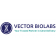 Ad-CMV-RNAi