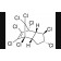 GAMMA-CHLORDANE  50MG  NEAT