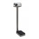 Detecto 337S Physician's Scale, Stainless Steel, Weigh Beam, 400 lb X 4 Oz / 175 kg X 100 G (DROP SHIP ONLY)