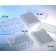 655944 Greiner-Bio CELLCOAT 96 Well Cell Culture Microplate w/ Lid, White, Treated w/ Poly-D-Lysine (5 per bag/ 20 per pack)