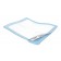 Wings™ Basic, Light Absorbency, Underpad, Lt. Blue Backsheet, Small, 17" x 24", 300/cs (Continental US Only)
