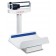 Detecto 451 Baby Scale, Weighbeam, Tray, 65 kg X 20 G (DROP SHIP ONLY)