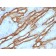 Ksp-Cadherin (Kidney-Specific Cadherin) / CDH16, CF405S conjugate, 0.1mg/mL