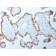 DNMT1 / DNA Methyltransferase 1(DNMT1/2061), CF405S conjugate, 0.1mg/mL