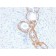 Cytokeratin, Basic (Type II or HMW)(rKRTH/2148), CF405S conjugate, 0.1mg/mL