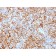 CD61 / Integrin 3 / Platelet Glycoprotein IIIa (Platelet Marker)(ITGB3/2166R), CF405S conjugate, 0.1mg/mL