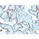 MMP3 (Marker of Metastasis and Rheumatoid Arthritis)(MMP3/2806), CF405S conjugate, 0.1mg/mL