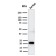 Biotium BNC042858-500, CD3e (T-Cell Marker)(C3e/2858R), CF405S conjugate, 0.1mg/mL