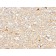 Drebrin 1 (DBN1)(DBN1/2880), CF405S conjugate, 0.1mg/mL