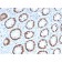 MCM6 (Proliferation Marker)(MCM6/2999), CF405S conjugate, 0.1mg/mL