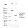Biotium BNC043167-500, Alpha-1-Antitrypsin (SERPINA1) (Hepatocellular & Histiocytic Marker)(AAT/3167R), CF405S conjugate, 0.1mg/mL