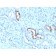 Biotium BNC043333-500, Calbindin 1 (CALB1)(CALB1/3333), CF405S conjugate, 0.1mg/mL