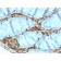 Biotium BNC043566-100, Annexin A1 / (Hairy Cell Leukemia Marker)(ANXA1/3566), CF405S conjugate, 0.1mg/mL