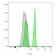 CD4(C4/206), CF405M conjugate, 0.1mg/mL