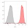 CD81 / TAPA-1 (1.3.3.22),  CF405M conjugate, 0.1mg/mL