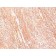 DOG-1(DG1/447), CF640R conjugate, 0.1mg/mL
