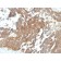 GnRH-Receptor (LHRH Receptor)(GNRHR/768), CF640R conjugate, 0.1mg/mL