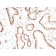Calponin-1(CNN1/832), CF640R conjugate, 0.1mg/mL