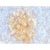 CD106 / VCAM1(VCAM1/843), CF640R conjugate, 0.1mg/mL