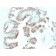 p57 / KIP2(KP10 + KIP2/880), CF640R conjugate, 0.1mg/mL