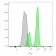 CD3e(B-B12), CF640R conjugate, 0.1mg/mL
