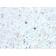 Ubiquitin (Autophagy Marker) (UBB/1748), CF640R conjugate, 0.1mg/mL