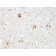 Ubiquitin (Autophagy Marker) (UBB/2122), CF640R conjugate, 0.1mg/mL