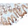 Cytokeratin 8/18(rKRT8.18/1346), CF640R conjugate, 0.1mg/mL
