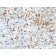 Tyrosinase-Related Protein-1 (TYRP-1) (Melanoma Marker) (TYRP1/2340R), CF640R conjugate, 0.1mg/mL