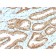 YBX1 / Y-box Binding Protein 1 / YB-1 (Tumor Biomarker)(YBX1/2430), CF640R conjugate, 0.1mg/mL