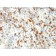 Biotium BNC402493-100, AIF1 / Iba1 (Microglia Marker)(AIF1/2493), CF640R conjugate, 0.1mg/mL