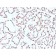 Cyclin D1 (G1-Cyclin & Mantle Cell Lymphoma Marker)(CCND1/2593), CF640R conjugate, 0.1mg/mL