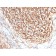 Biotium BNC402754-100, CD21 (Mature B-Cell & Follicular Dendritic Cell Marker)(CR2/2754), CF640R conjugate, 0.1mg/mL