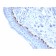 Tyrosinase-Related Protein-1 (TYRP-1) (Melanoma Marker)(TYRP1/3284), CF640R conjugate, 0.1mg/mL