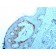 Nucleolar / Nucleoli(NM95), CF647 conjugate, 0.1mg/mL