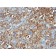 CD68(C68/684), CF647 conjugate, 0.1mg/mL