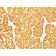 MART-1 / Melan-A(M2-7C10 + M2-9E3), CF647 conjugate, 0.1mg/mL