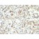 MyoD1(5.8A + MYD712), CF647 conjugate, 0.1mg/mL