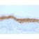 Filaggrin (Keratinocyte Differentiation Marker) (FLG/1561), CF647 conjugate, 0.1mg/mL