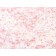 Tyrosinase-Related Protein-1 (TYRP-1) (Melanoma Marker), CF647 conjugate, 0.1mg/mL
