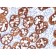 Ep-CAM / CD326 (Epithelial Marker) (rMOC-31), CF647 conjugate, 0.1mg/mL