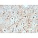 GFAP (Astrocyte & Neural Stem Cell Marker) (GFAP/2076), CF647 conjugate, 0.1mg/mL