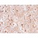 GFAP (Astrocyte & Neural Stem Cell Marker) (rASTRO/789), CF647 conjugate, 0.1mg/mL