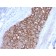 HER-2 / c-erbB-2 / neu / CD340(ERBB2/3092), CF647 conjugate, 0.1mg/mL
