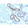 Nucleophosmin (Acute Myeloid Leukemia Marker)(NPM1/3285), CF647 conjugate, 0.1mg/mL