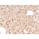 LMO2 (B-Cell Marker)(rLMO2/1971), CF647 conjugate, 0.1mg/mL