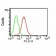 CD34(ICO-115), CF555 conjugate, 0.1mg/mL