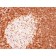 bcl-2(8C8), CF568 conjugate, 0.1mg/mL